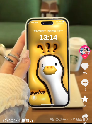 图片[1]-【2024.10.12】一个适合普通人实操落地的项目，卖高清3D膨胀壁纸，一小时打赏收入200+-L哥创业分享网