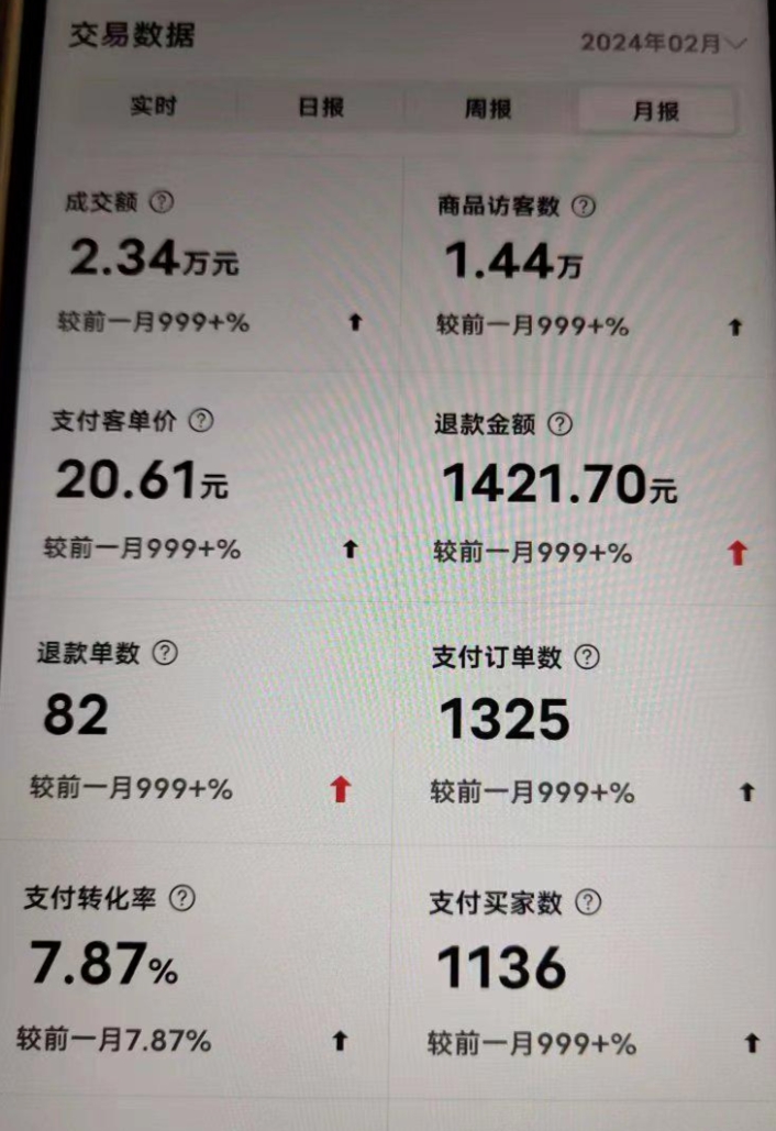 图片[1]-【2024.11.17】拼多多虚拟电商，单人操作10家店，单店日盈利 100+-L哥创业分享网